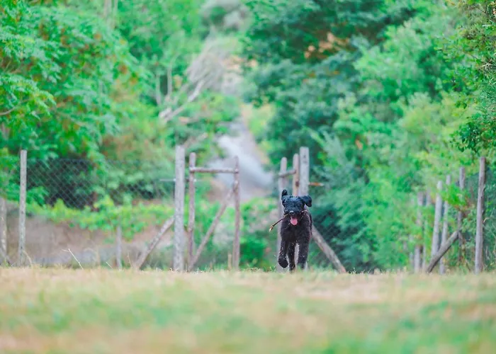 Le Pianacce Camping Village