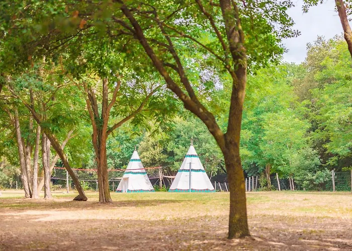 Le Pianacce Camping Village カスタニェート・カルドゥッチ